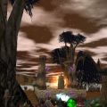 Tainted Grotto Live.jpg
