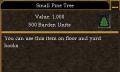 Small Pine Tree.jpg