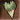 Ivory Gromnie Tooth Icon.png
