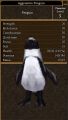 Aggressive Penguin.jpg