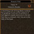 Stomach Wall.jpg