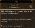 Key (Oddly-Shaped Key).jpg