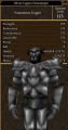 Silver Legion Doorkeeper Nov 2010.jpg