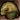 Armored Sclavus Head (Gold) Icon.png