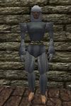 Chainmail Armor Argenory Live.jpg