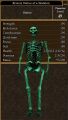 Bronze Statue of a Skeleton (Effigy).jpg