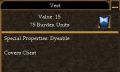Vest.jpg