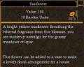 Sunflower.jpg