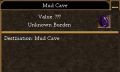 Mud Cave.jpg