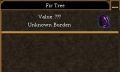 Fir Tree.jpg