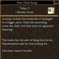 Torn Cloth Scrap.jpg