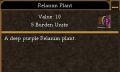 Relanim Plant.jpg