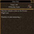 Door Key (Frozen Wight Lair 3).jpg