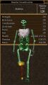 Skeletal Swashbuckler.jpg