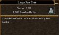 Large Pine Tree.jpg