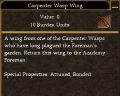 Carpenter Wasp Wing.jpg