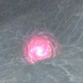 Penguin Cave Hatchery Live.jpg