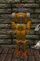 Leather Armor Fail Live.jpg