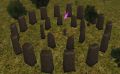 Rithwic Menhir Ring Live.jpg