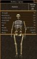 Skeleton Captain.jpg