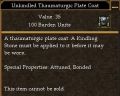 Unkindled Thaumaturgic Plate Coat.jpg