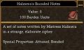 Halmera's Encoded Notes.jpg