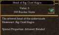 Head of Big Chief Hagra.jpg