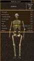 Skeleton Lord (Old) 2.jpg
