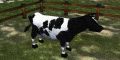 Cow (Town Network Painting) Live.jpg