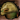 Tchk'Tain the Tender's Severed Head Icon.png