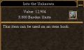 Into the Unknown.jpg