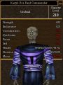 Kazyk Ri's Raid Commander.jpg