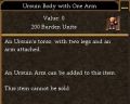 Ursuin Body with One Arm.jpg