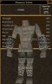 Masonry Golem.jpg