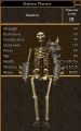 Skeleton Warrior.jpg
