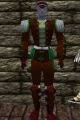 Leather Armor Hennacin Live.jpg