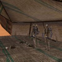 23.1S, 16.9E - Skeleton Tent Live 2.jpg