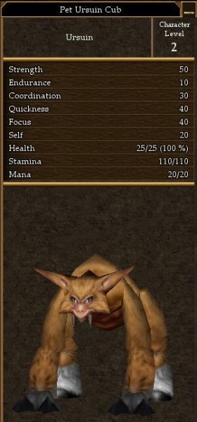 File:Pet Ursuin Cub.jpg