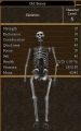 Old Bones.jpg