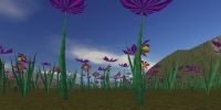 Vale of Giant Flowers Live 2.jpg