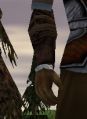 Thumbnail for version as of 21:35, 27 February 2026