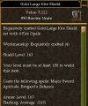 Large Kite Shield Maximum AL.jpg