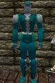 Leather Armor Lapyan Live.jpg