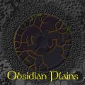 Obsidian Plains.jpg