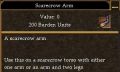 Scarecrow Arm.jpg