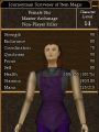 Journeyman Scrivener of Item Magic.jpg