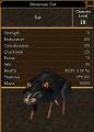 Mountain Rat.jpg