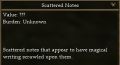 Scattered Notes.jpg