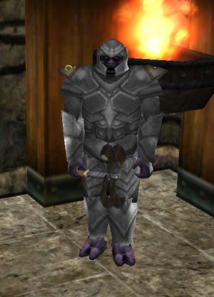 Steward Korosk Live.jpg