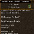 Viamontian Laced Boots (Loot).jpg